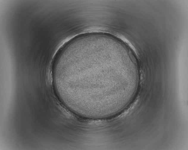 X0000111840973200908201213