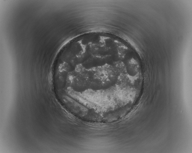 X0000111840975200908201213