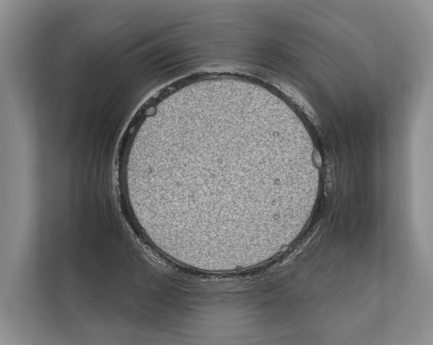 X0000111840976200908201213