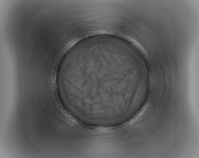 X0000111840977200908201213