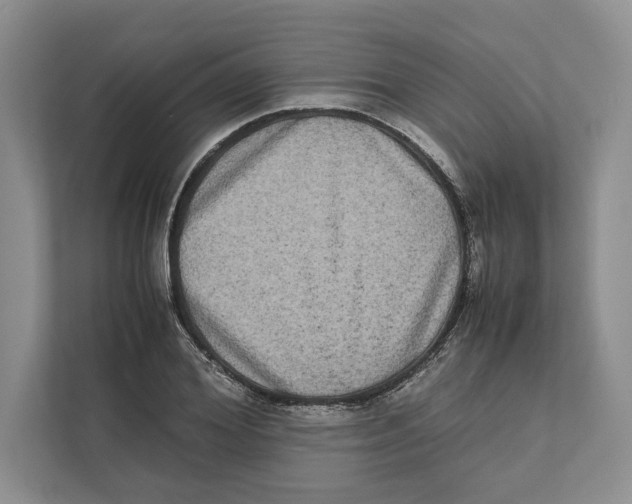 X0000111840980200908201213