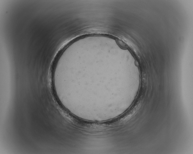 X0000111840981200908201213