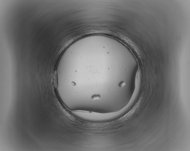 X0000111840985200908201213