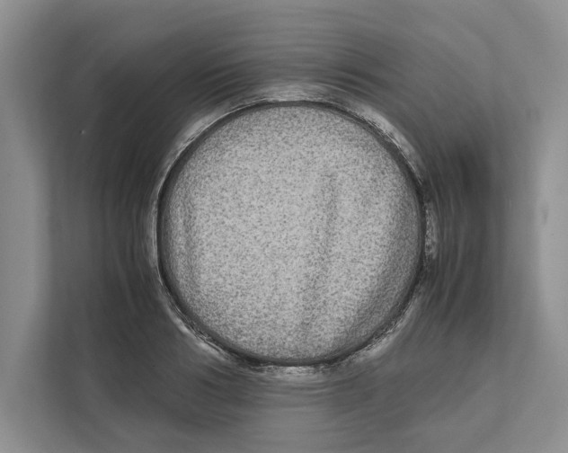 X0000111840986200908201213