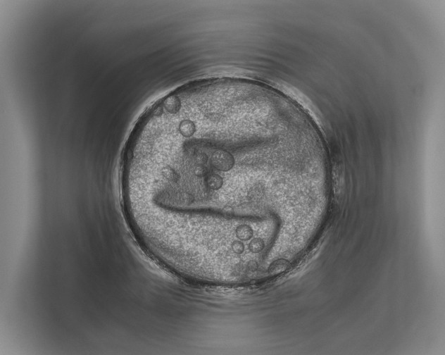 X0000111840987200908201213