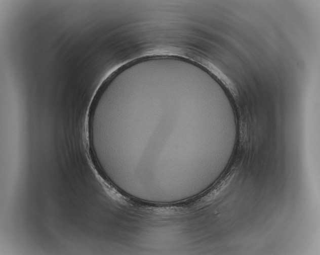 X0000111840988200908201213