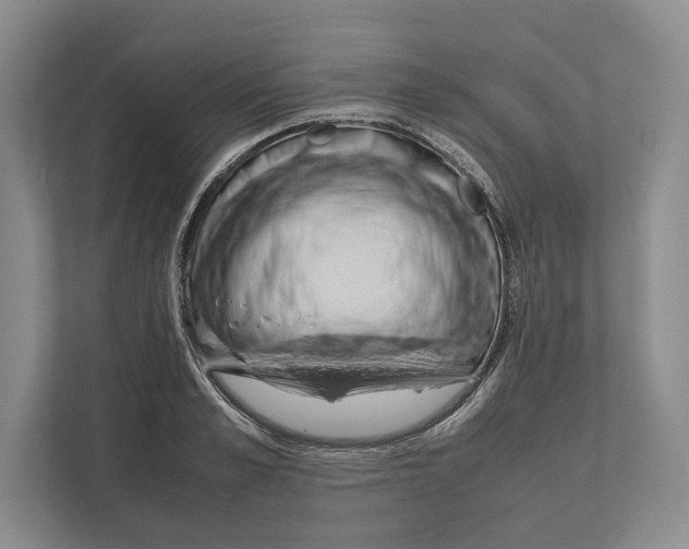 X0000111840989200908201213