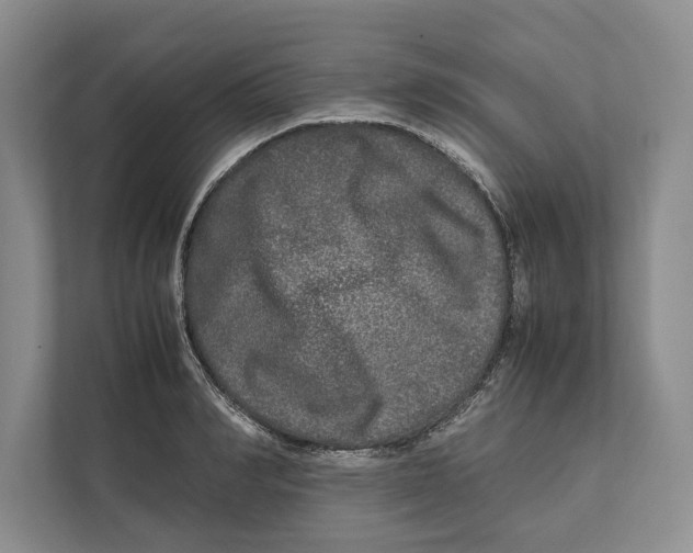 X0000111840990200908201213