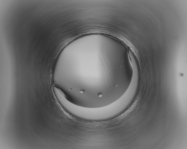 X0000111840993200908201213