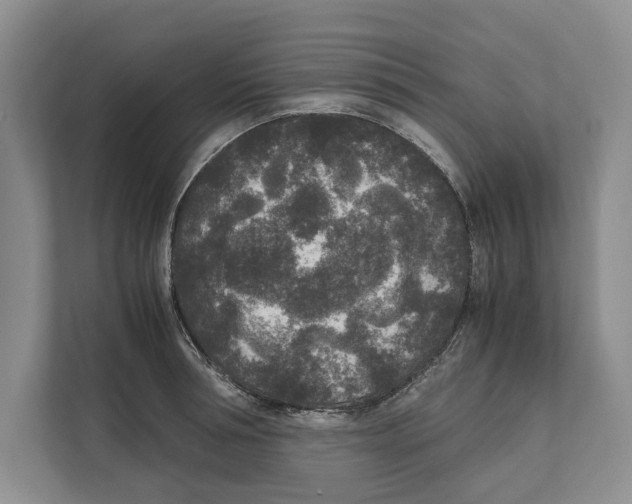 X0000111840994200908201213