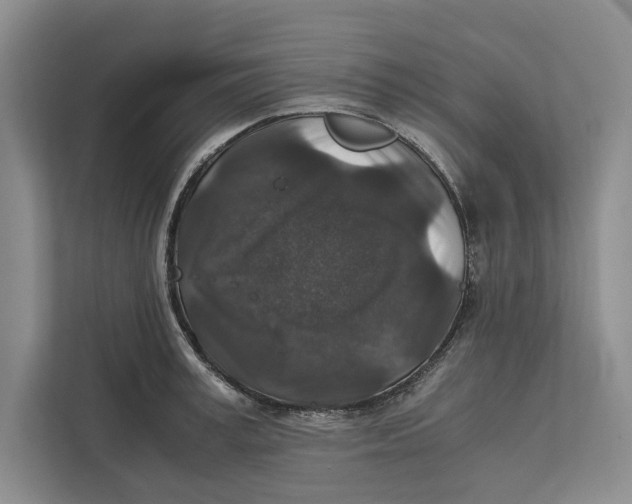 X0000111840995200908201213