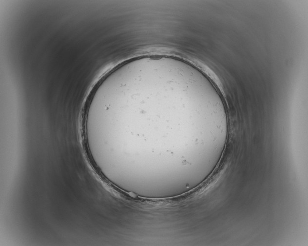 X0000111840997200908201213