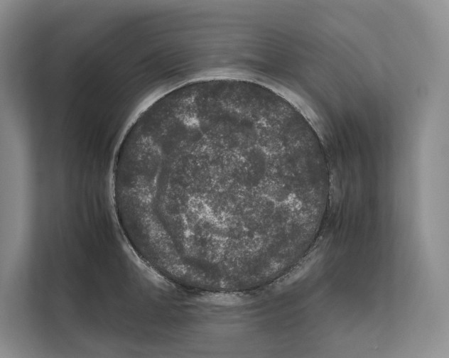 X0000111840998200908201213