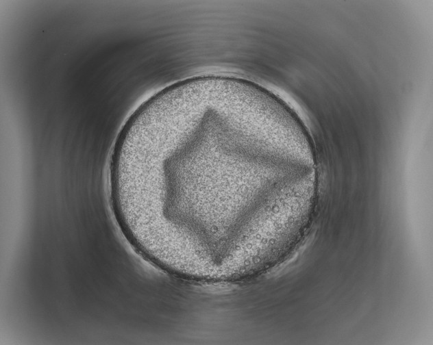 X0000111840999200908201213