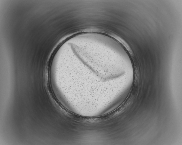 X0000111841000200908201213