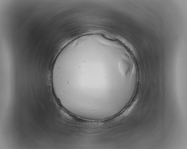 X0000111841001200908201213