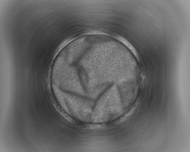 X0000111841002200908201213