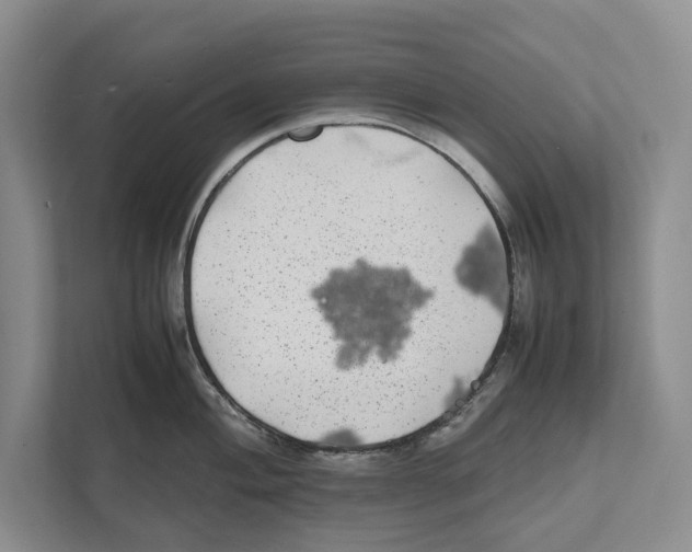 X0000111841004200908201213