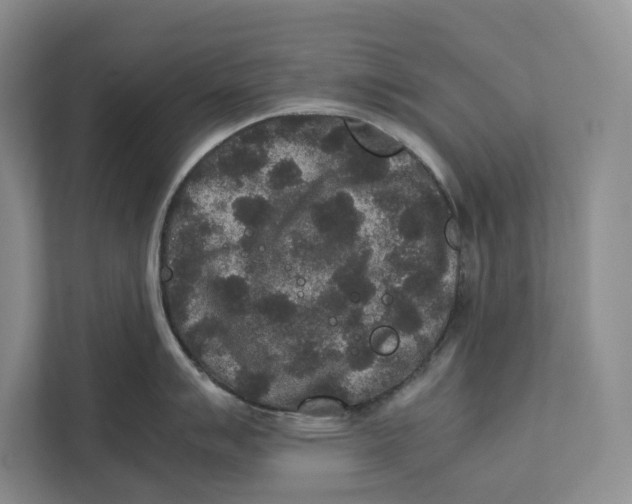 X0000111841007200908201213