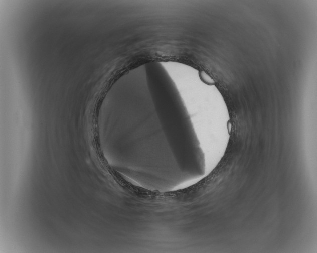 X0000111841009200908201212