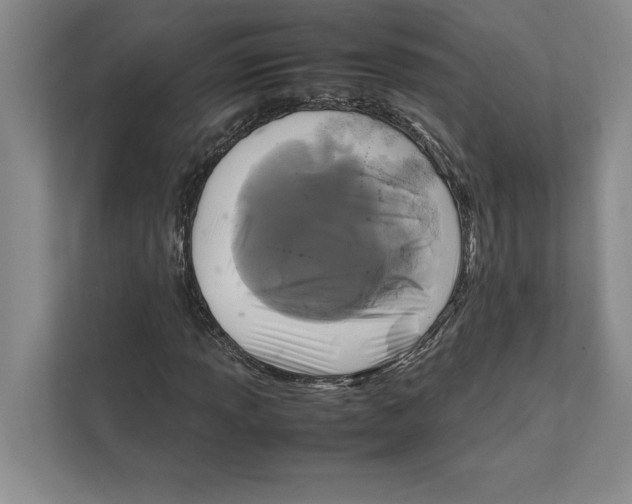 X0000111841013200908201212