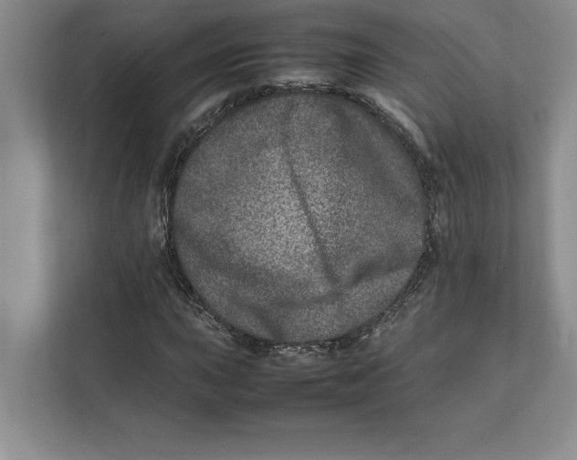 X0000111841015200908201212