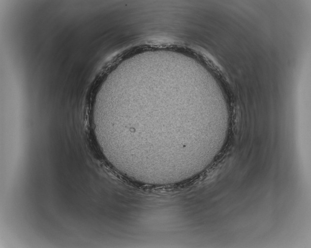 X0000111841016200908201212