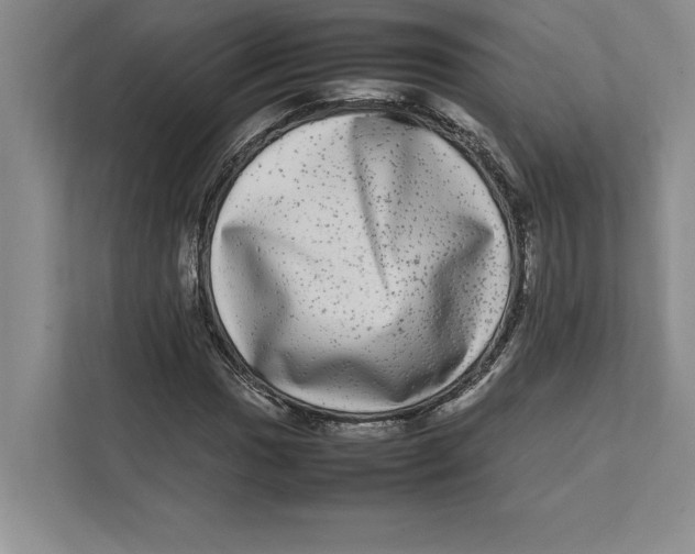 X0000111841017200908201212