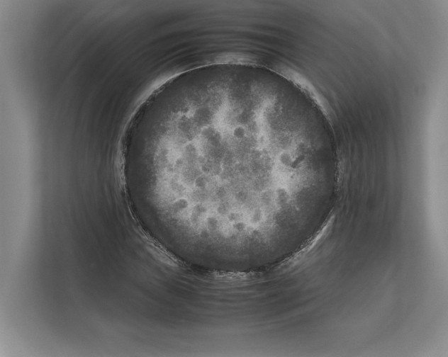 X0000111841019200908201212