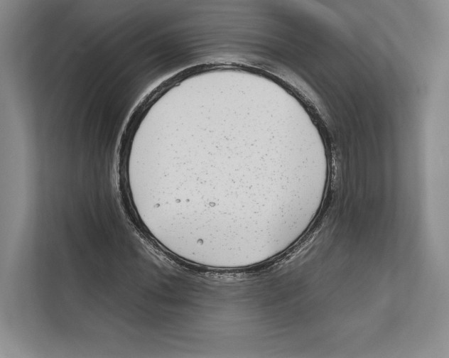 X0000111841020200908201212