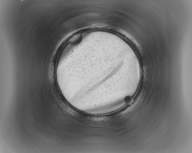 X0000111841021200908201212