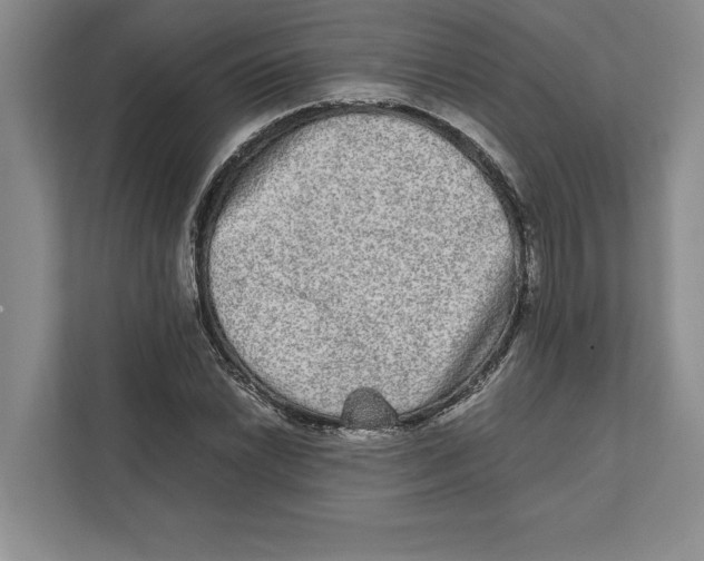 X0000111841022200908201212