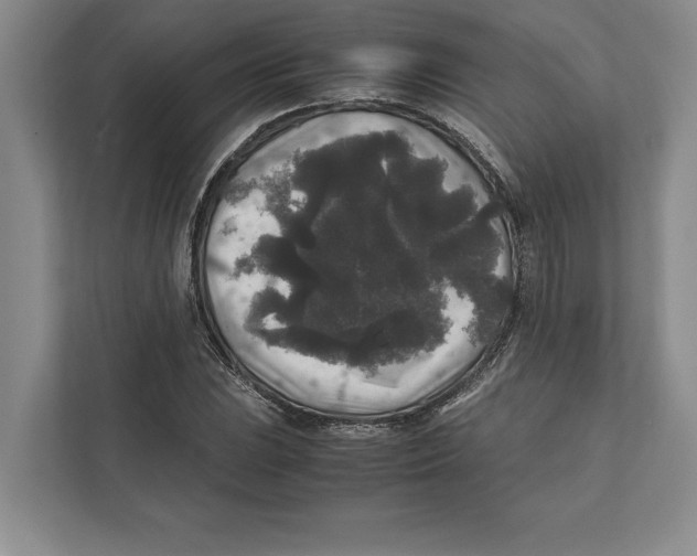 X0000111841023200908201212