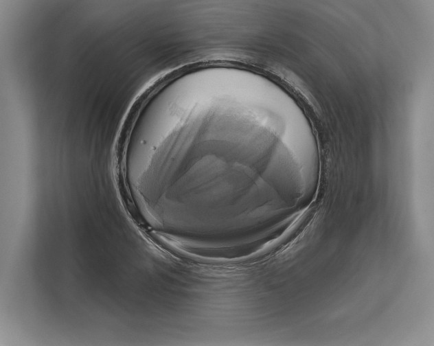 X0000111841024200908201212