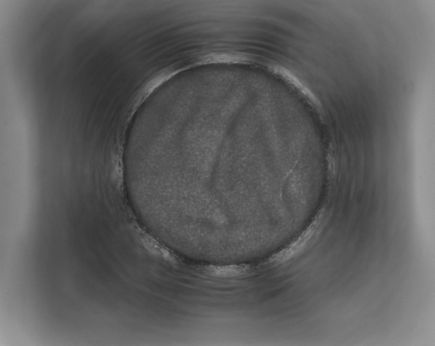 X0000111841025200908201212