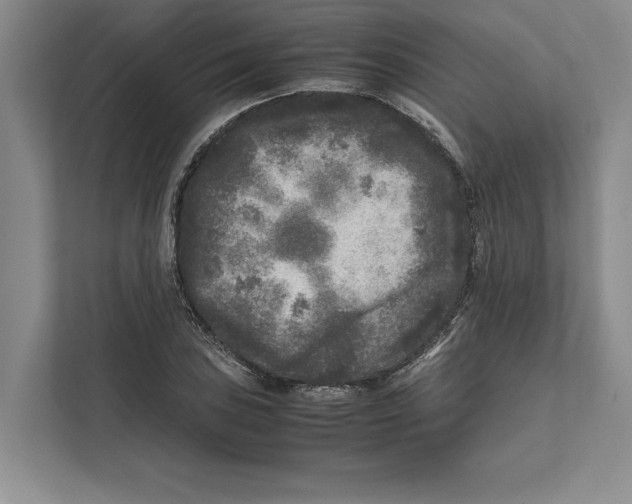 X0000111841027200908201212