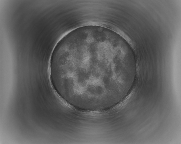 X0000111841028200908201212