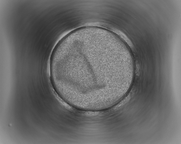 X0000111841036200908201212