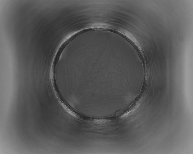 X0000111841037200908201213