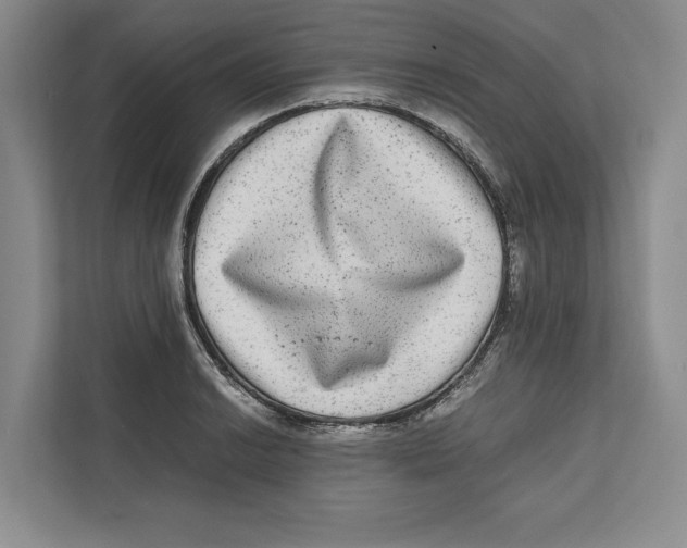 X0000111841038200908201213