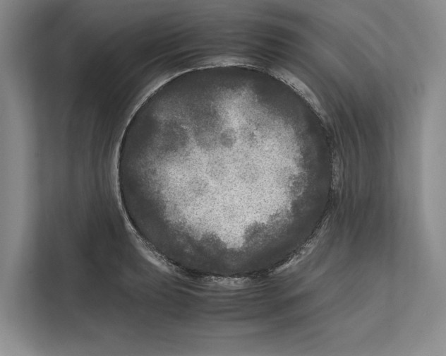 X0000111841039200908201213