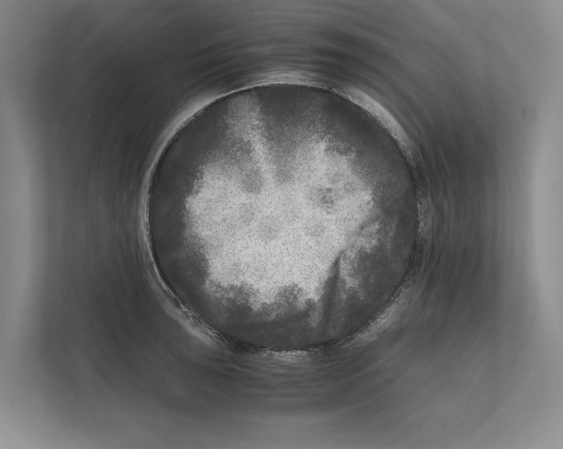 X0000111841043200908201213