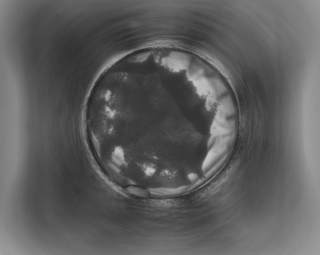 X0000111841045200908201213