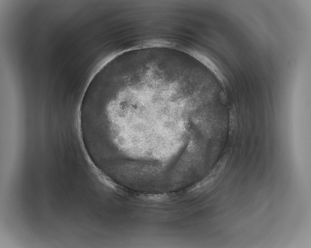 X0000111841047200908201213