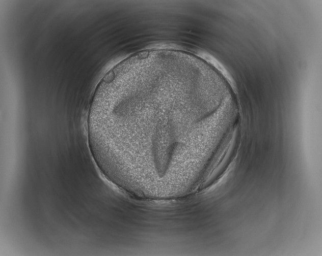 X0000111841049200908201213