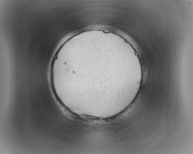 X0000111841050200908201213