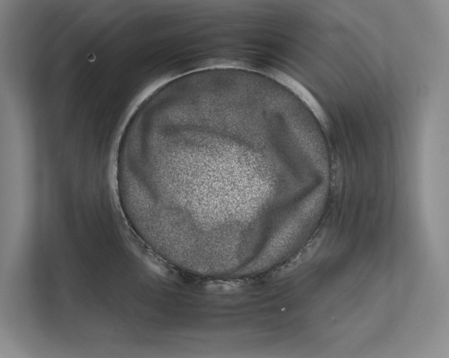 X0000111841051200908201213