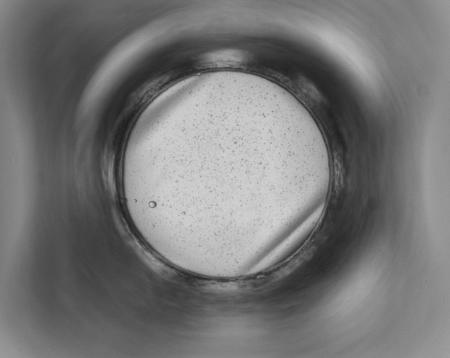 X0000111841054200908201213