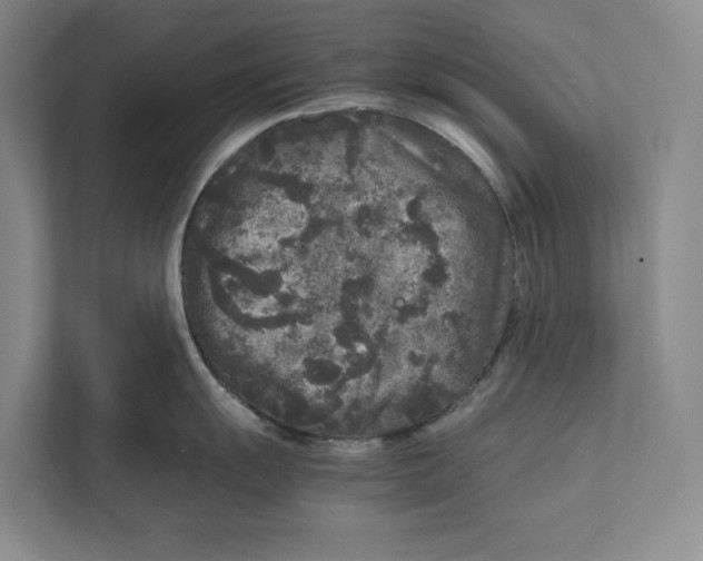 X0000111841055200908201213