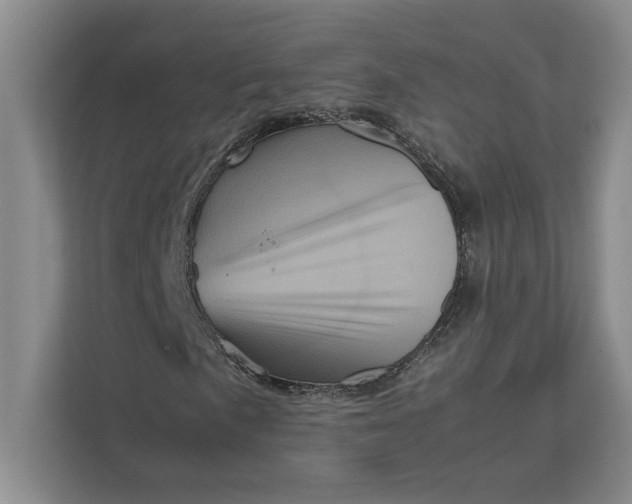 X0000111841057200908201212